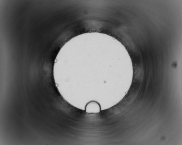 X0000103930283200810311524