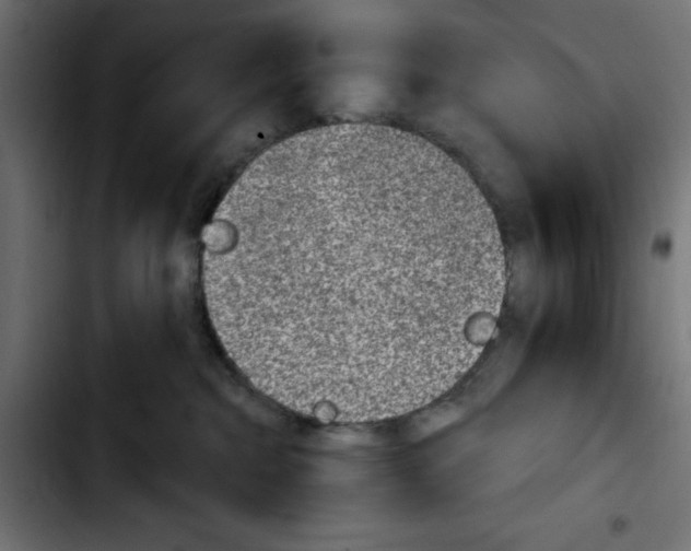 X0000103930284200810311524