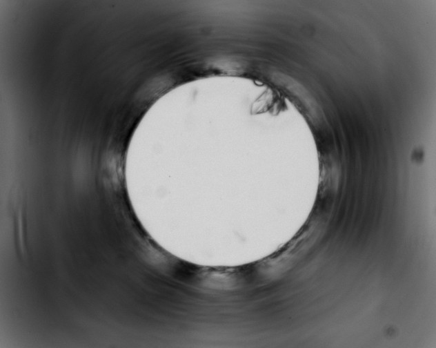 X0000103930285200810311524