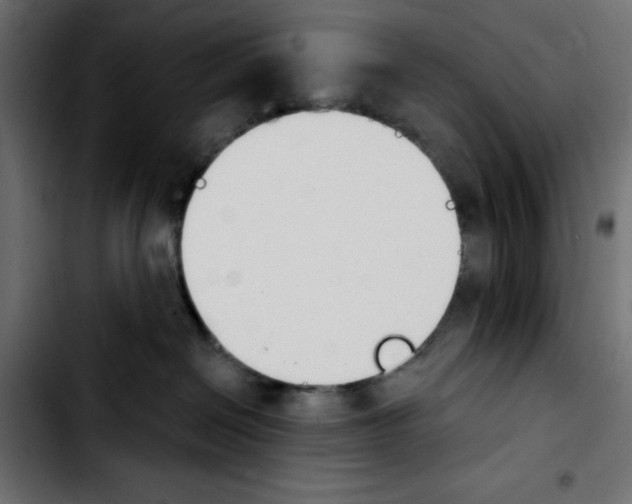 X0000103930286200810311524