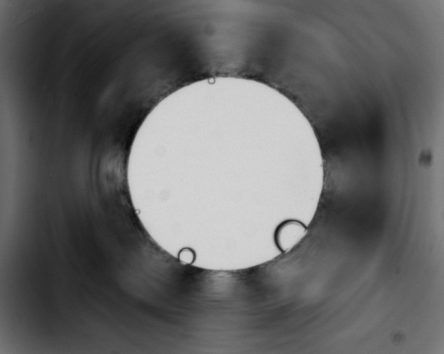X0000103930287200810311524