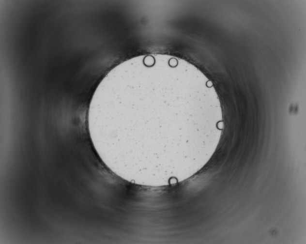 X0000103930288200810311524