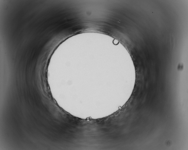 X0000103930289200810311523