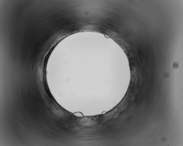 X0000103930290200810311523