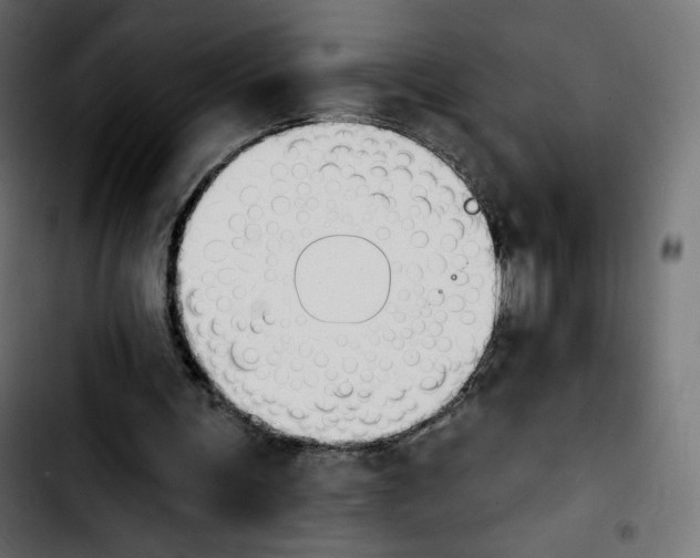X0000103930291200810311523