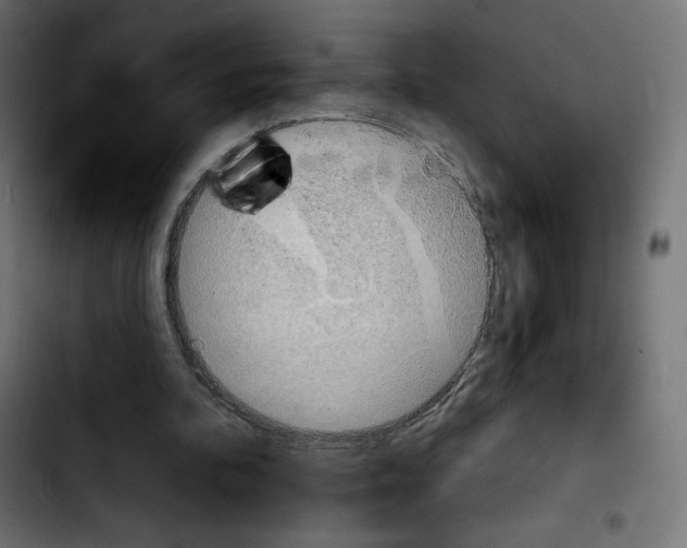 X0000103930292200810311523