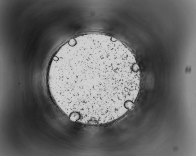 X0000103930293200810311523