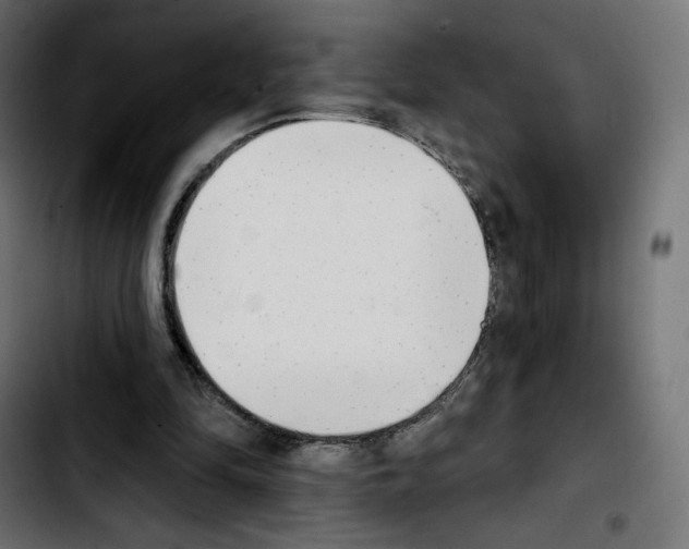 X0000103930294200810311523