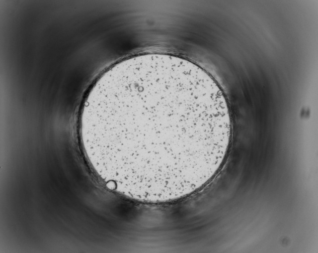 X0000103930297200810311523