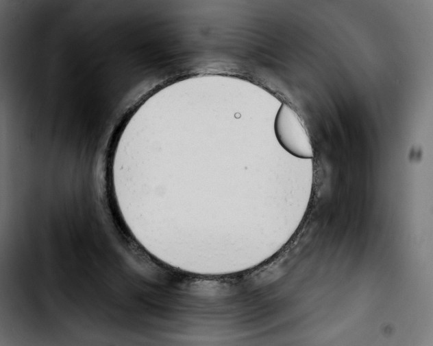 X0000103930298200810311523