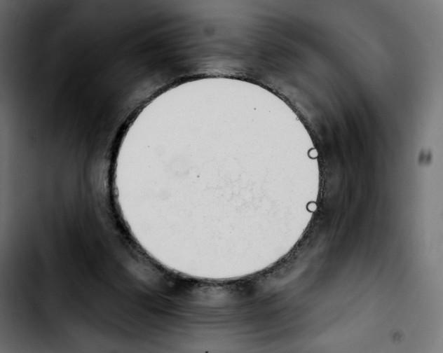 X0000103930299200810311523
