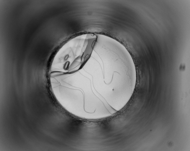 X0000103930300200810311523