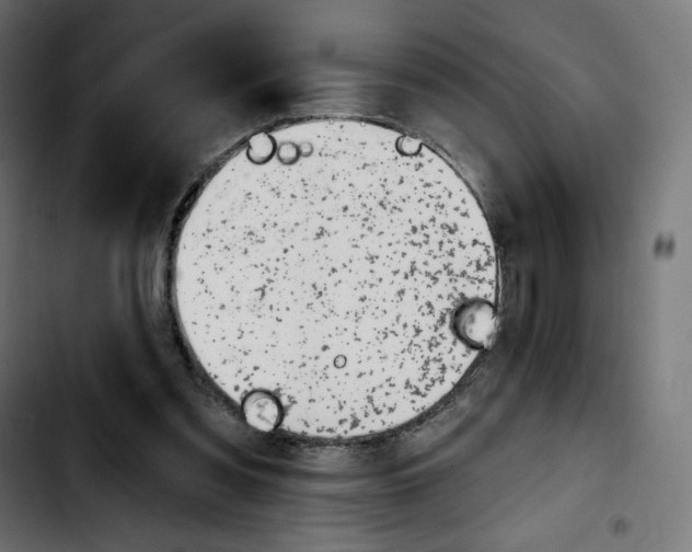 X0000103930301200810311523