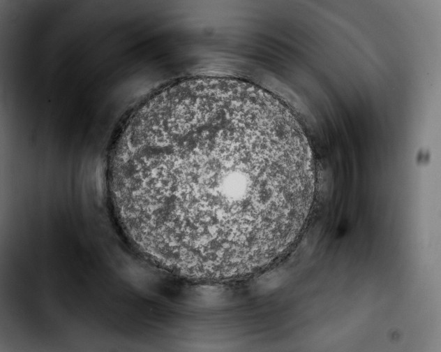 X0000103930302200810311523