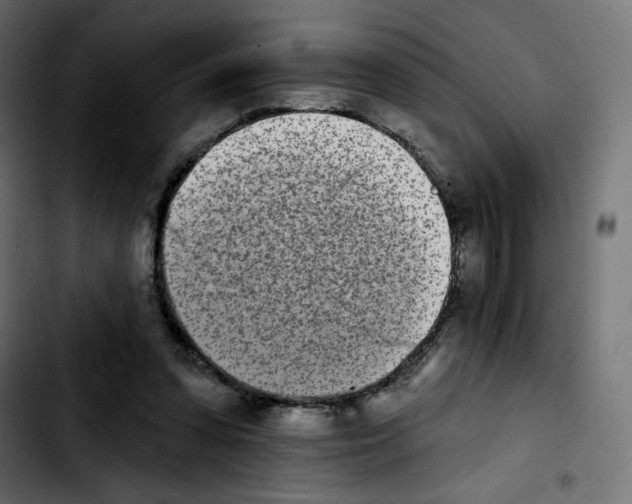 X0000103930303200810311523