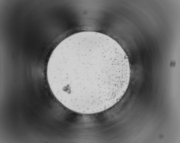 X0000103930305200810311523