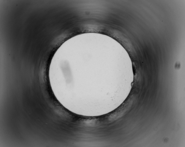 X0000103930306200810311523