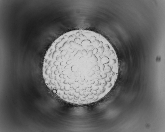 X0000103930307200810311523