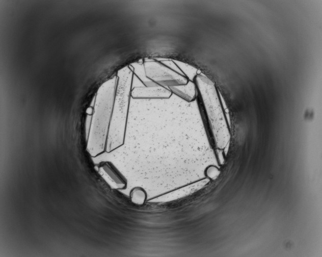 X0000103930308200810311523