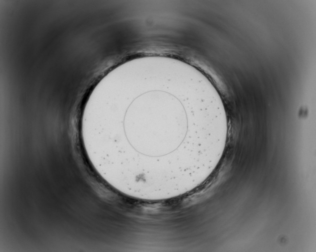 X0000103930309200810311523