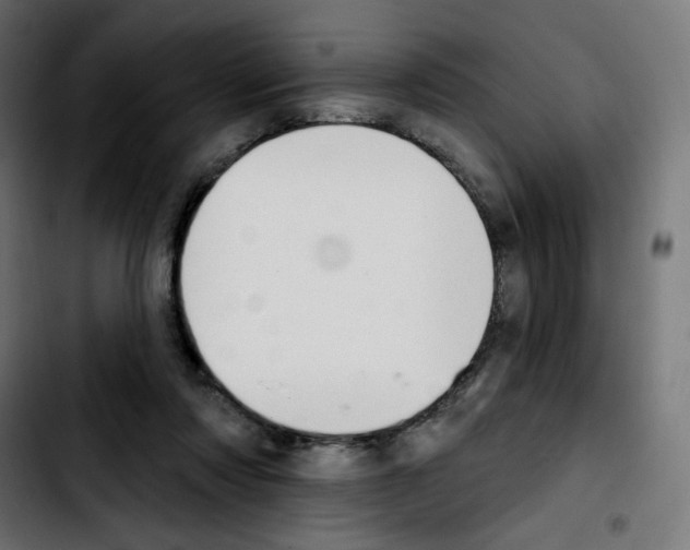 X0000103930310200810311523