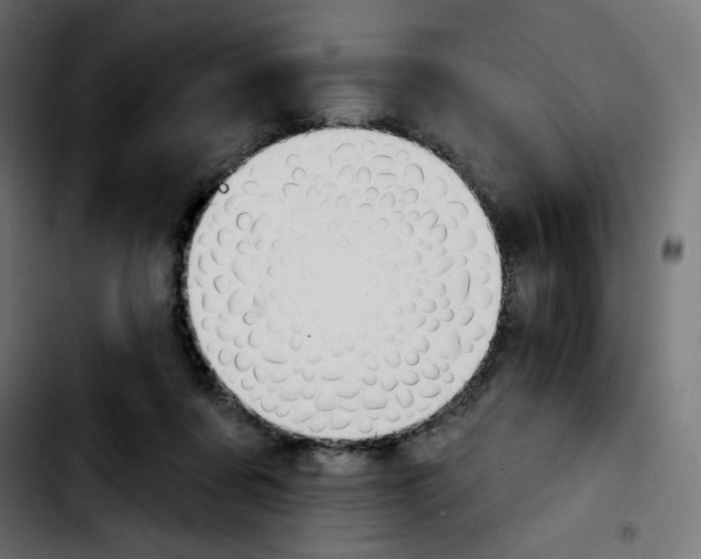 X0000103930311200810311523