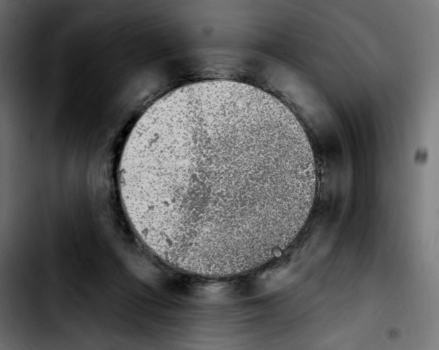 X0000103930312200810311523