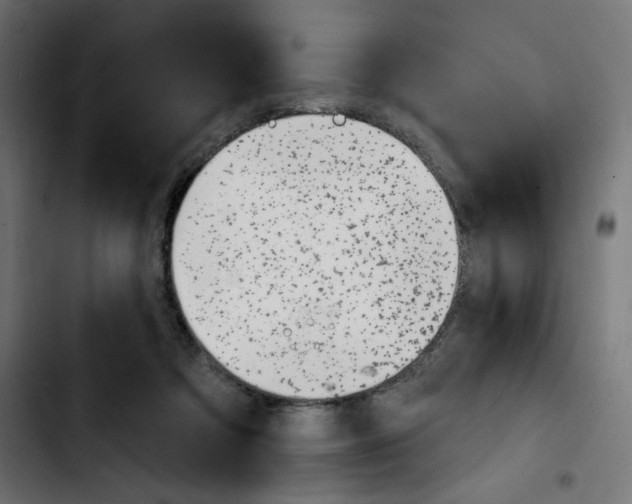 X0000103930313200810311523