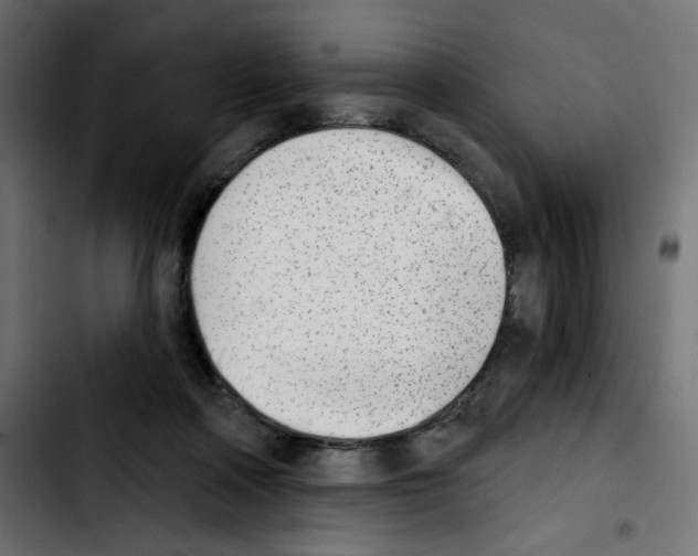 X0000103930314200810311523