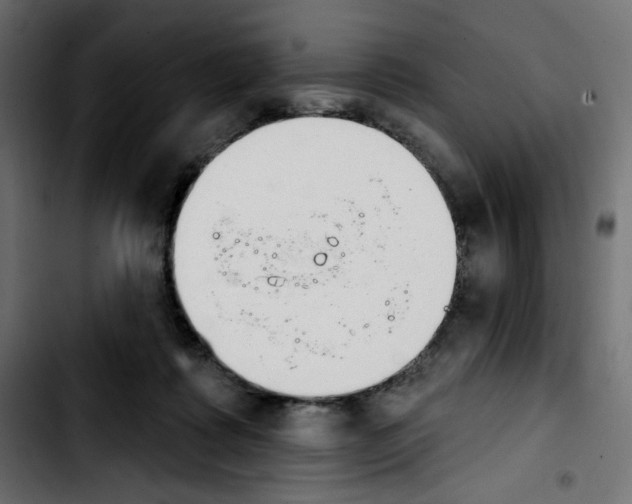 X0000103930315200810311523
