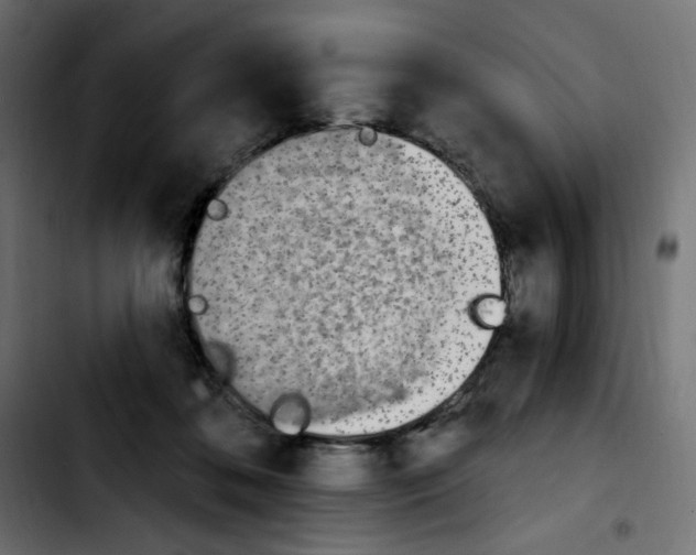 X0000103930316200810311523