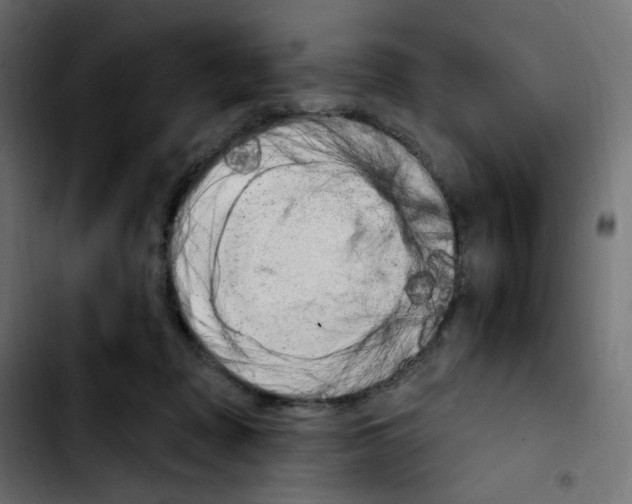 X0000103930317200810311523