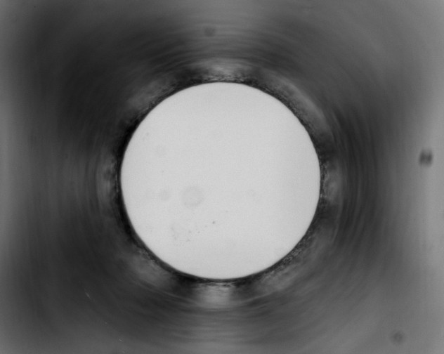 X0000103930318200810311523