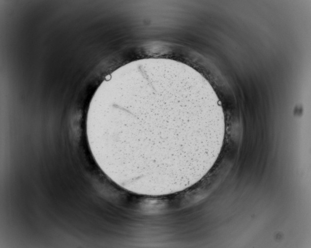 X0000103930319200810311523