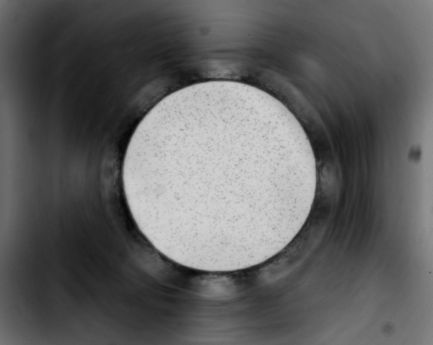 X0000103930322200810311523