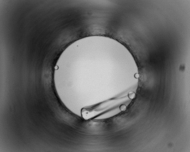 X0000103930323200810311523