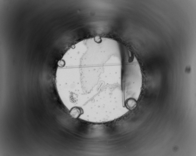 X0000103930324200810311523