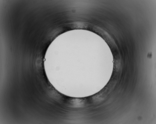 X0000103930326200810311523