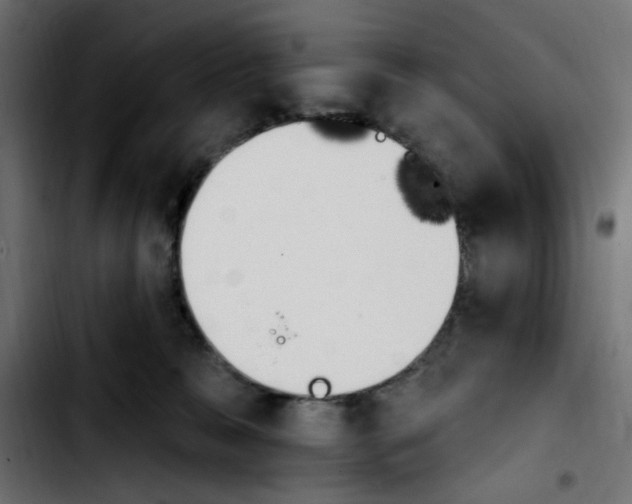 X0000103930327200810311523