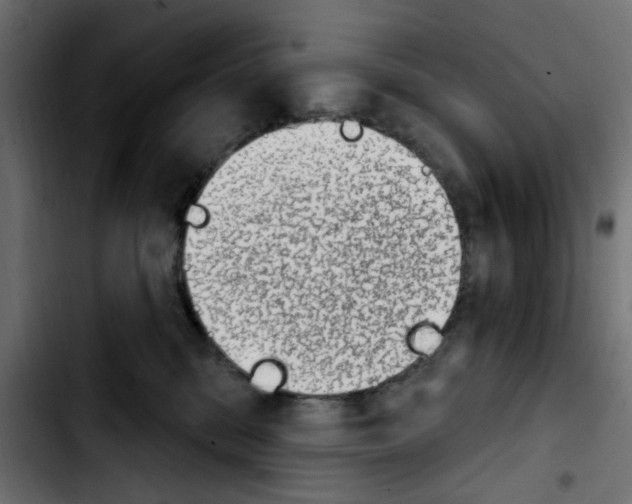X0000103930328200810311523