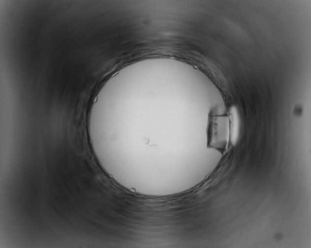 X0000103930329200810311523