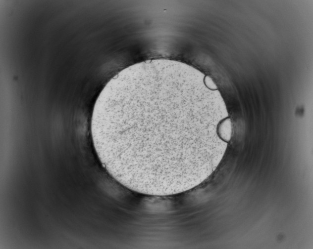 X0000103930331200810311523