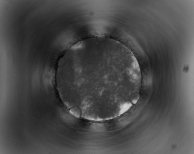 X0000103930332200810311523
