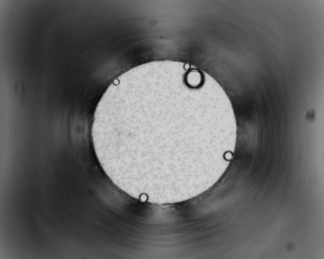 X0000103930333200810311523