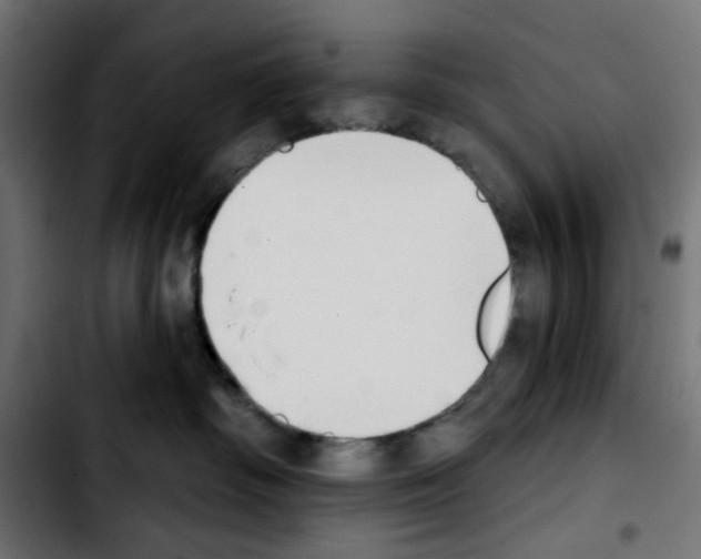 X0000103930334200810311523