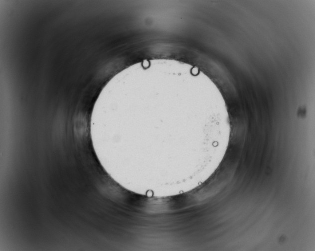 X0000103930335200810311523