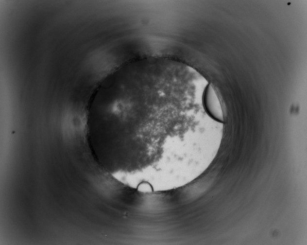 X0000103930336200810311523