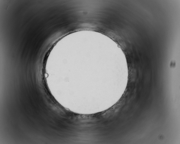 X0000103930338200810311522