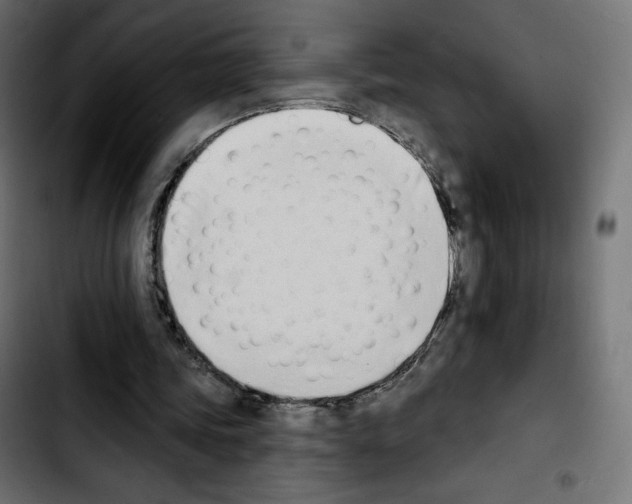 X0000103930339200810311522