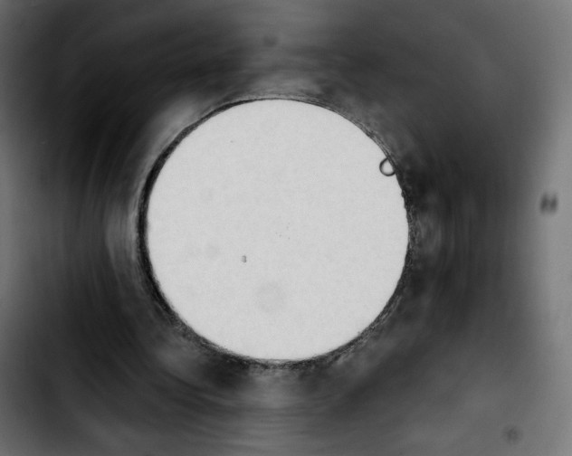 X0000103930340200810311522